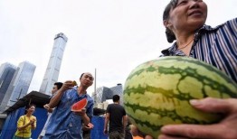 51朝阳吃瓜,揭秘娱乐圈最新吃瓜事件，带你领略明星幕后故事